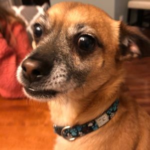 Meet your Posher, Alissa